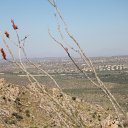 arizona from kells camera - IMG_3015